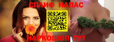 стаф Донецк