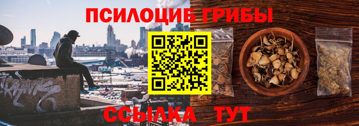 Галлюциногенные грибы мухоморы  Вход с VPN  Людиново  Галлюциногенные грибы мицелий 