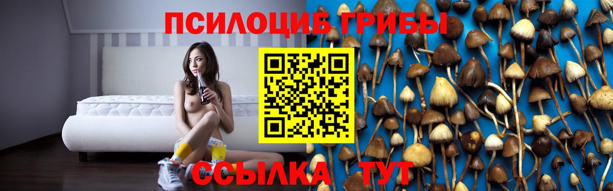 Псилоцибиновые грибы MAGIC MUSHROOMS Людиново